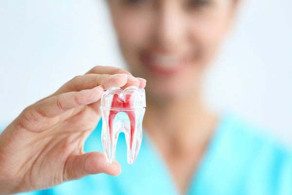 Root Canal Therapy: What You Must Know | Dentist in Harrisburg NC
